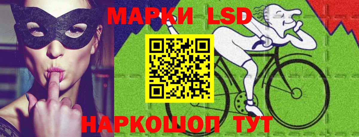 ЛСД экстази кислота  Лсд 25 экстази  Курчалой  LSD-25 экстази кислота  Вход с VPN 
