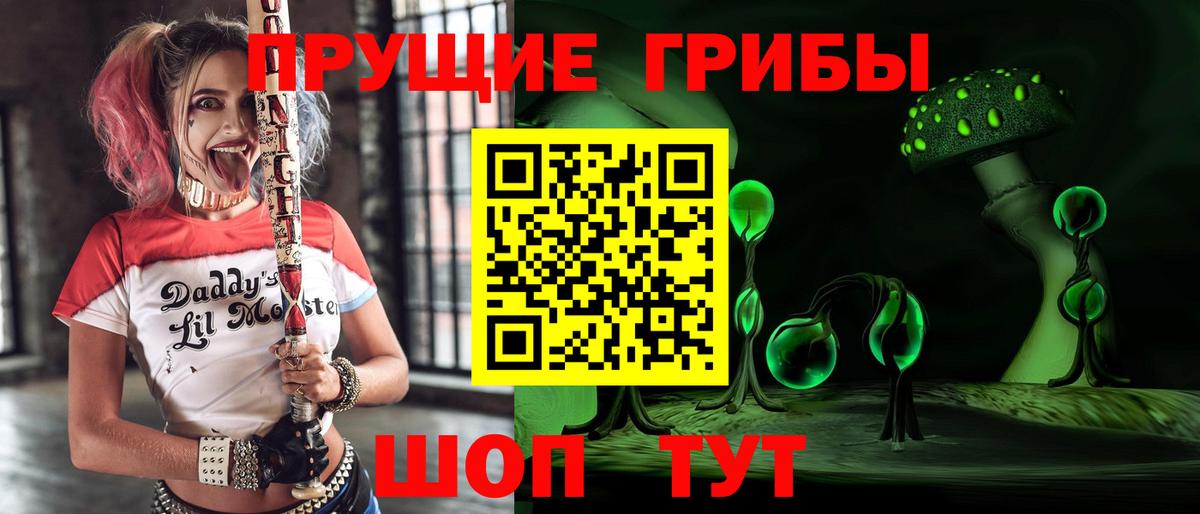 Галлюциногенные грибы Psilocybine cubensis Курчалой