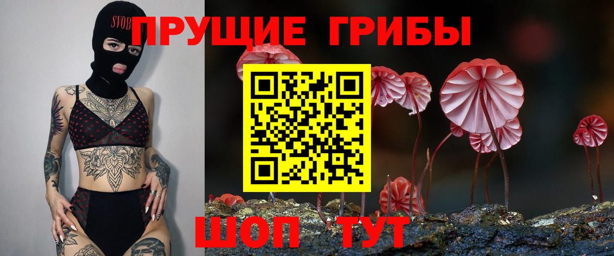 Курчалой  Галлюциногенные грибы ЛСД  Вход с VPN  Псилоцибиновые грибы Magic Shrooms 